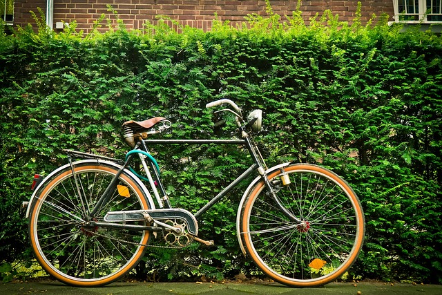 bycicle